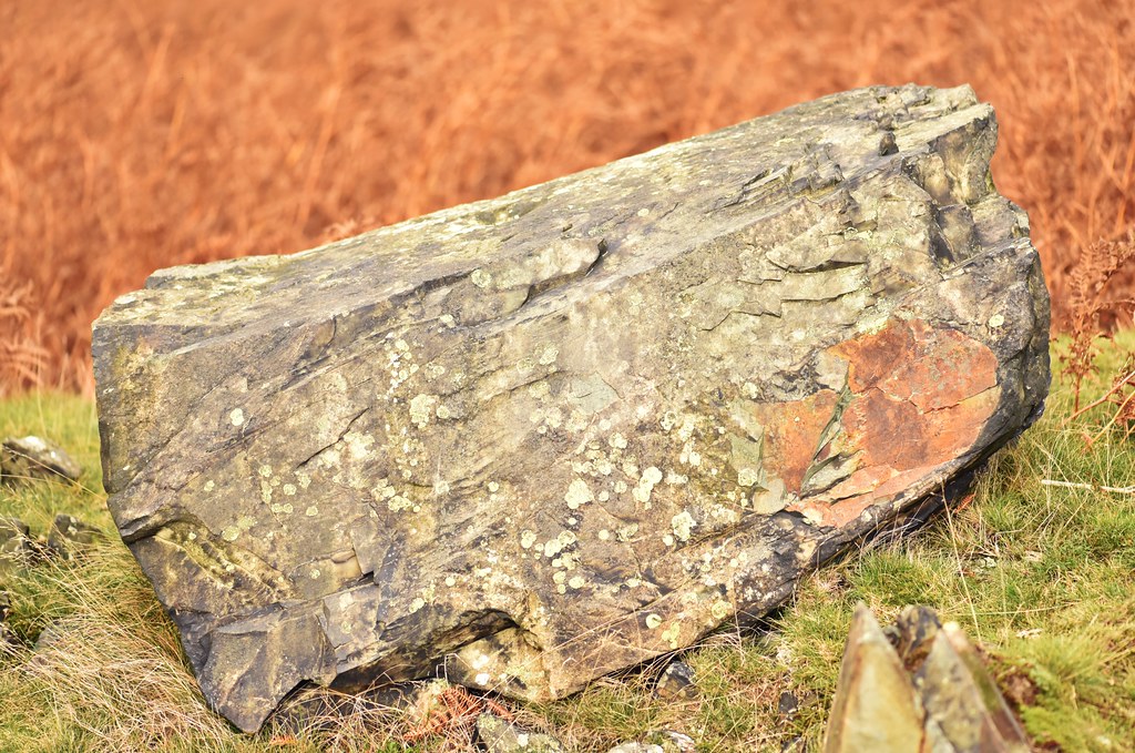 Bradgate Park Oct 17 28 Lostash Flickr