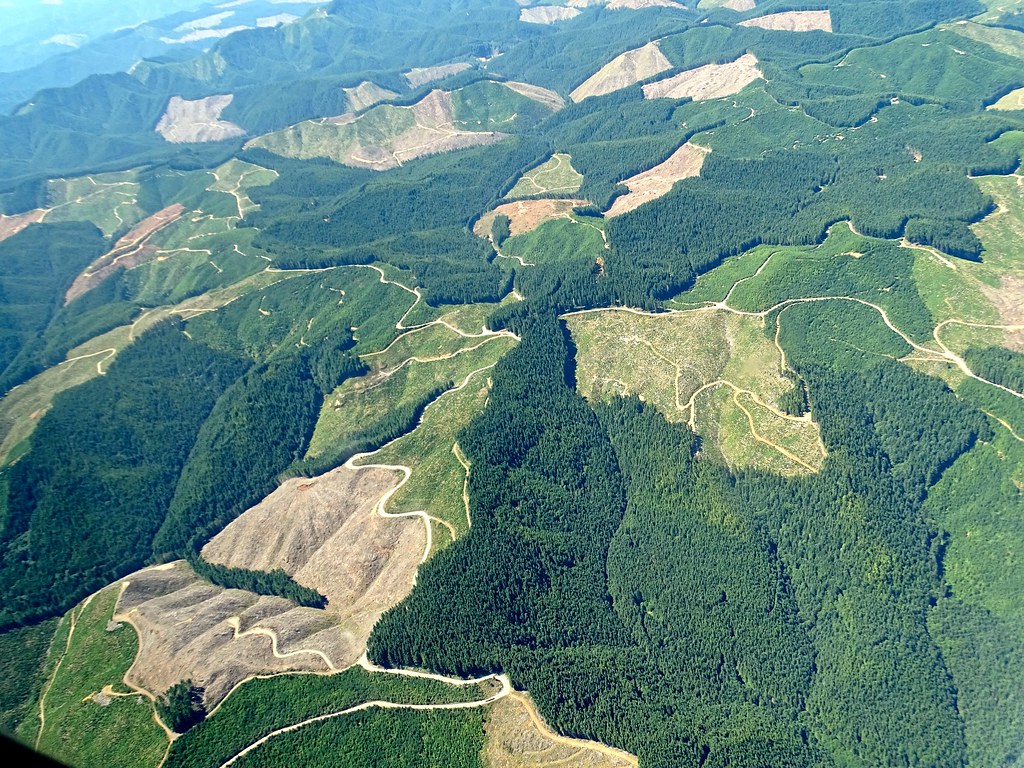 Weyerhaeuser Forest DSC06423 This 209,000 acre block of la… Flickr
