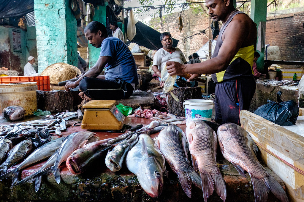 Fish market Varanasi, 2015 Jpierrel Flickr