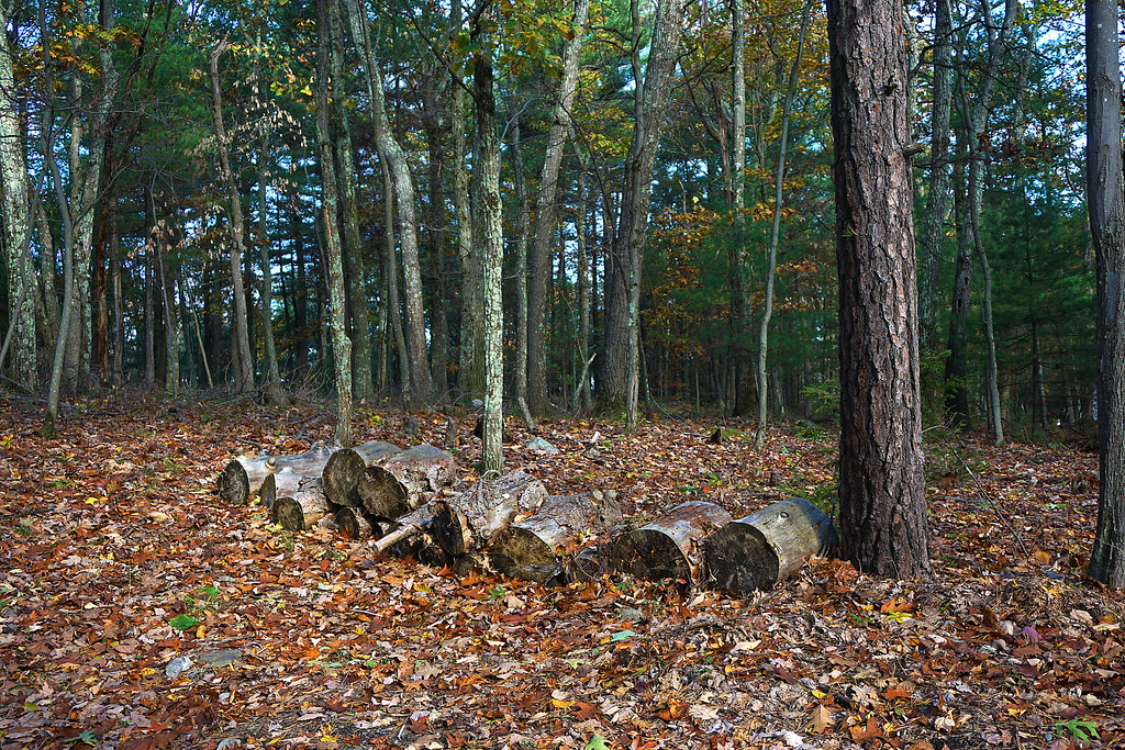 Autumn rollers C Near Bloomingburg, New York, 2017. Patricia