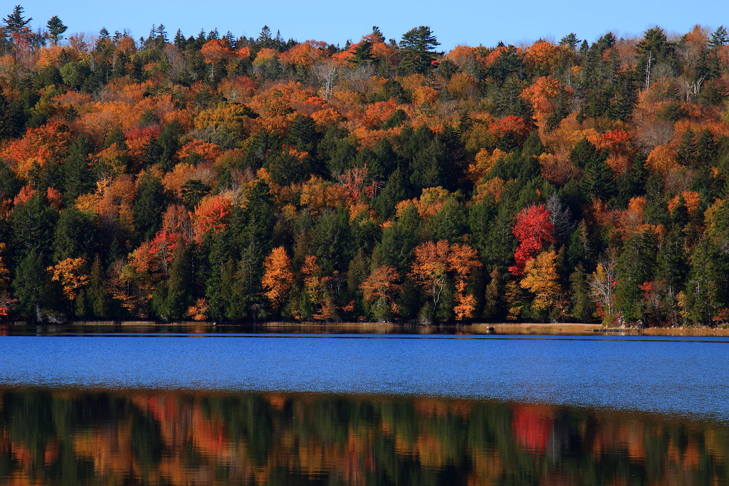 Echo Lake, Mt. Desert Island, ME Fall colors in Echo Lake,… Flickr