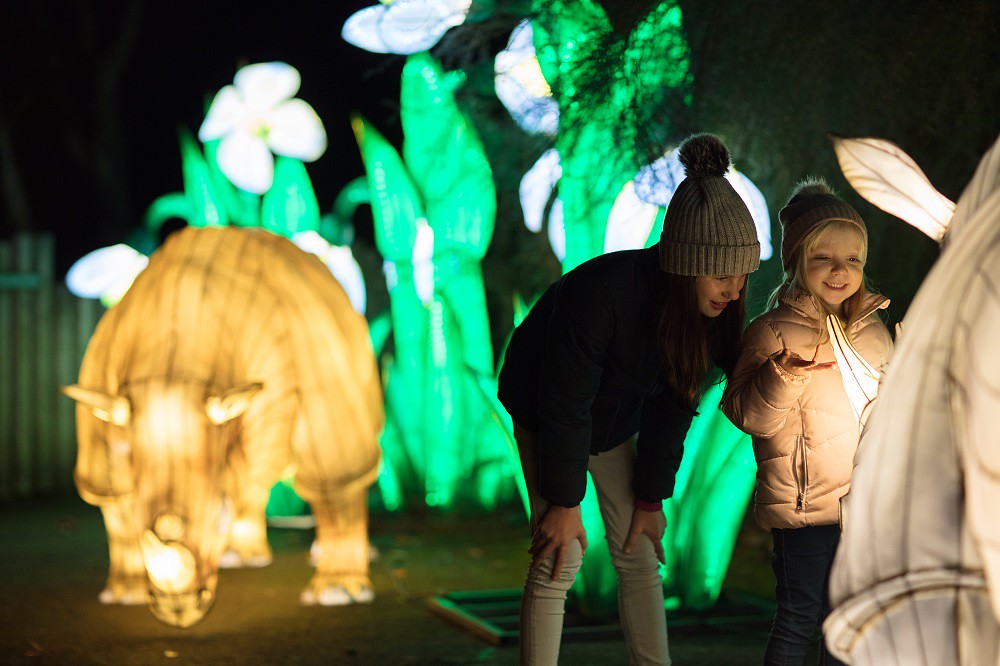 Book Now! Wild Lights at Dublin Zoo opening night! Dublin Zoo Flickr