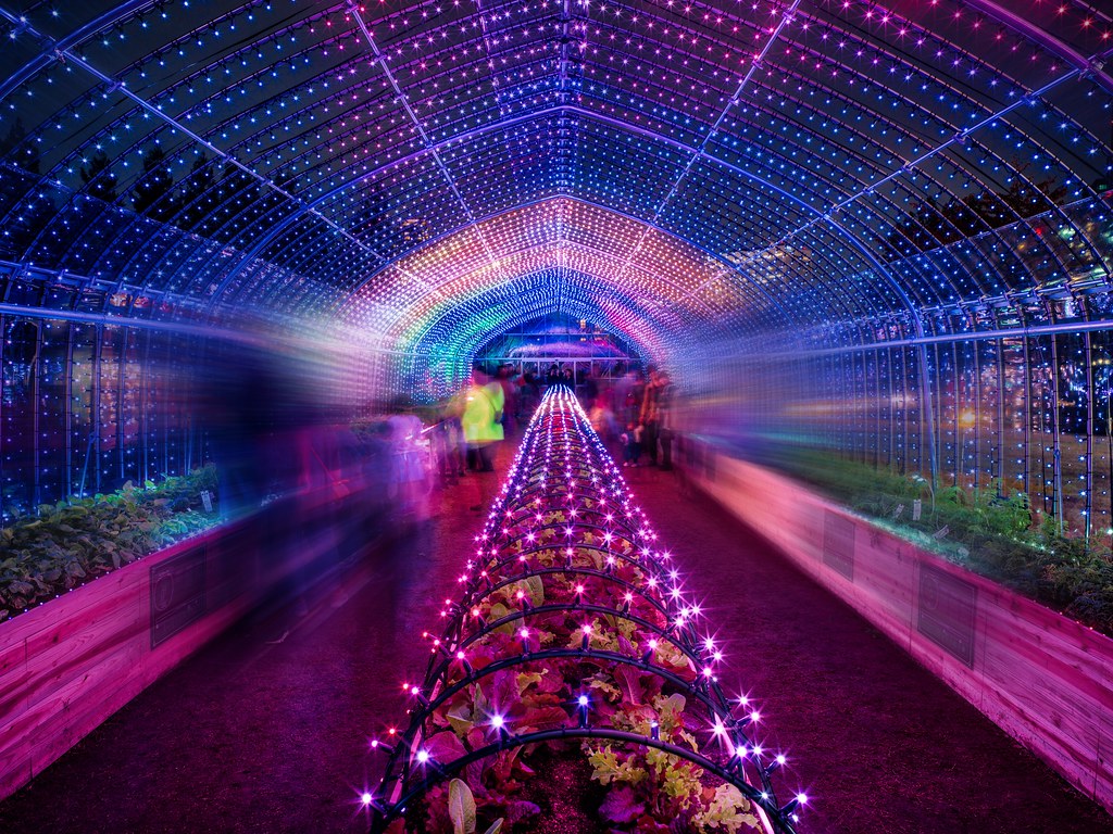 Tokyo House In a nearby park, there was a beautiful greenh… Flickr