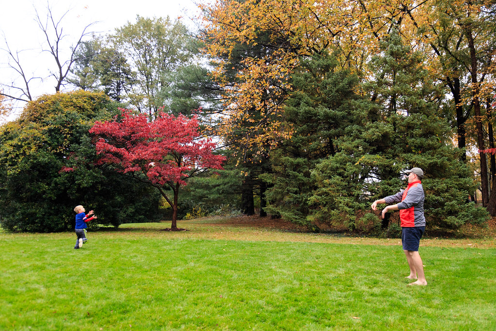 _MG_2126 Western Grove Urban Park 2017. Photo by Marilyn S… Flickr