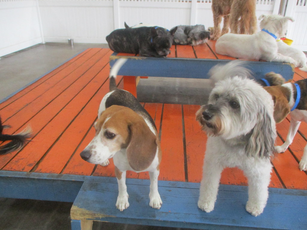 734 Dr. Boyd's Irvine Flickr