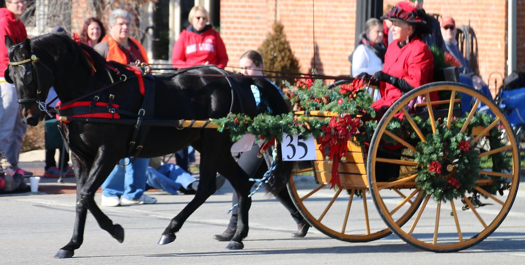 Lebanon Carraige Horse Parade and Festival 2017 These are … Flickr