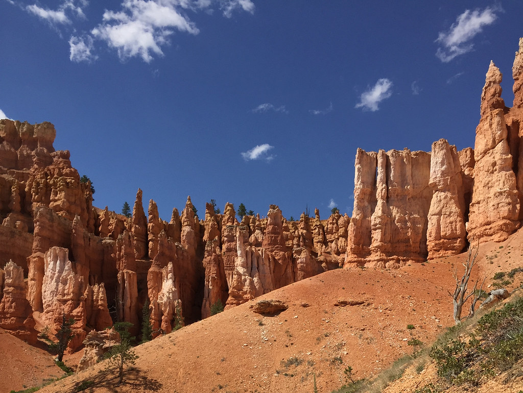 Bryce Canyon National Park At (or near) Bryce Canyon, Utah… Flickr