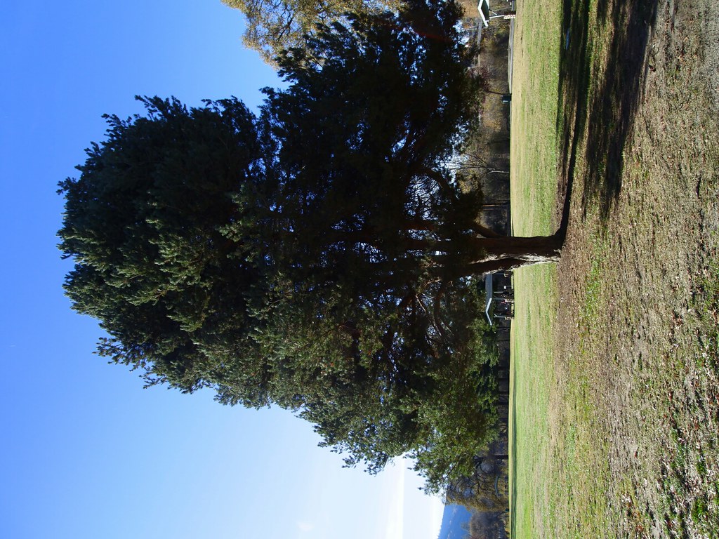 Oakhurst Park Mobius Flavoroni Flickr