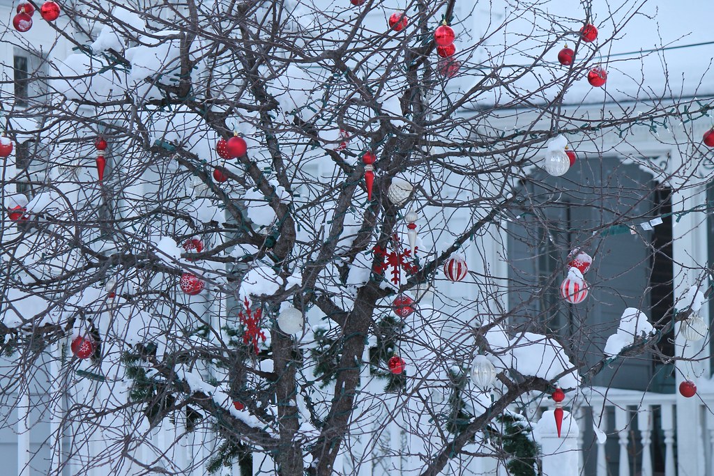 IMG_5810a Madison, Wisconsin, Regent neighborhood Beth Harper Flickr