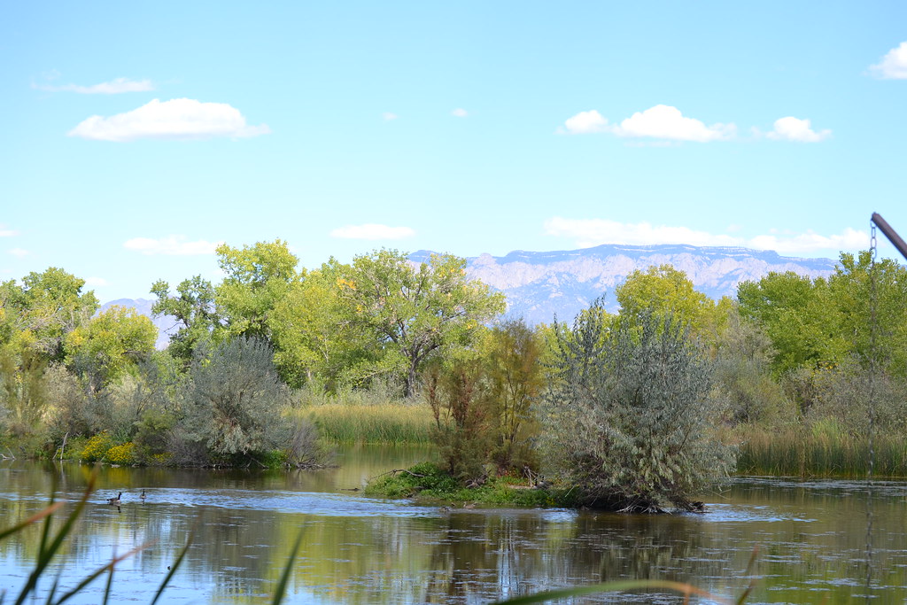 0916 Rio Grande, Albuquerque fvshumate Flickr