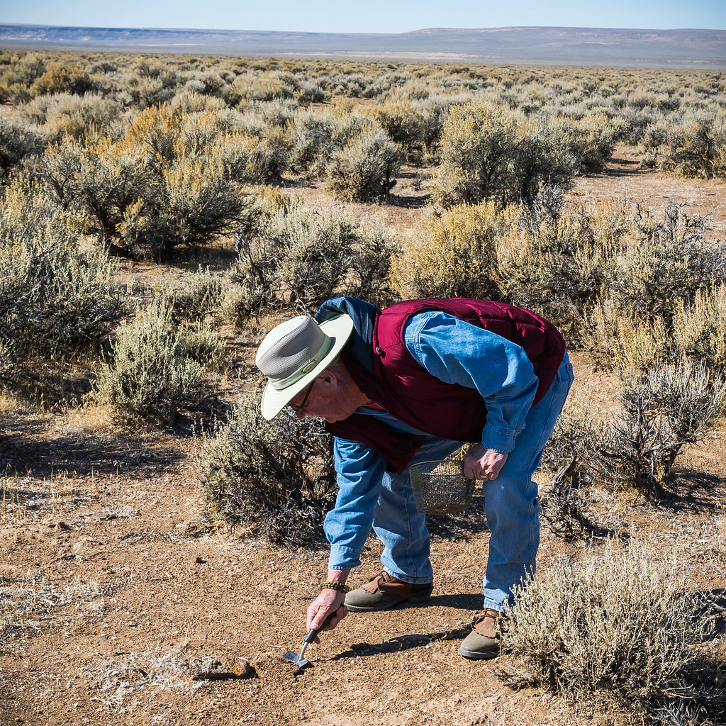 Sunstone Collection Area Visitors hunt for sunstones at th… Flickr
