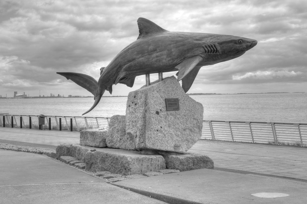 Gray Reef Shark Statue, The Deep, Hull Simon Molyneaux Flickr