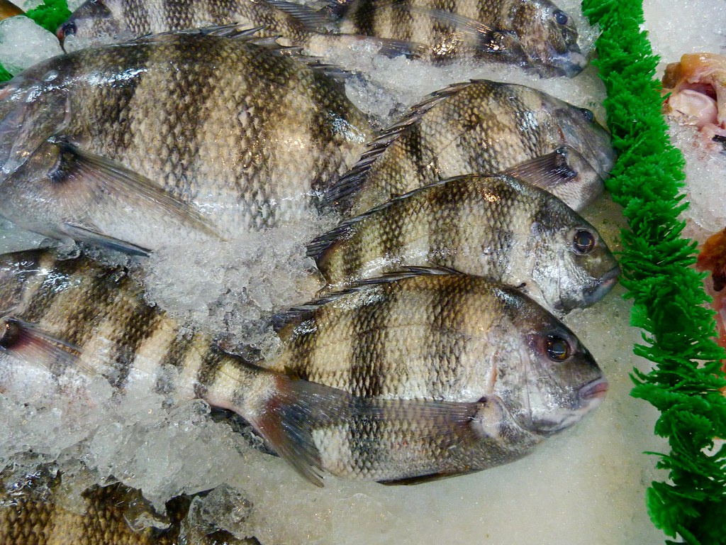 Thrifty Market, Palm Bay/Melbourne FL Fish on Ice Rusty Clark