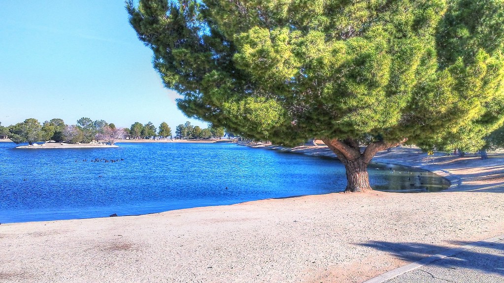 Apollo Park Trees Apollo Community Regional Park, named in… Flickr