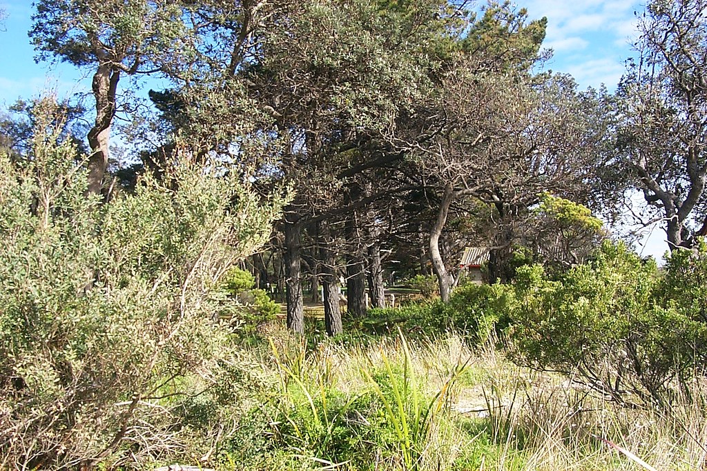 Capel Sound Foreshore 16698 Beach Box survey for Morningto… Flickr