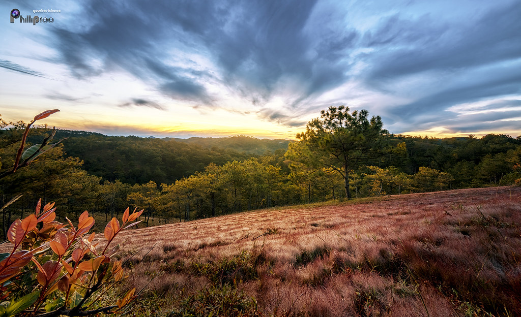 Đà Lạt landscape 11/2017 Philliproo Freelance photographer Flickr