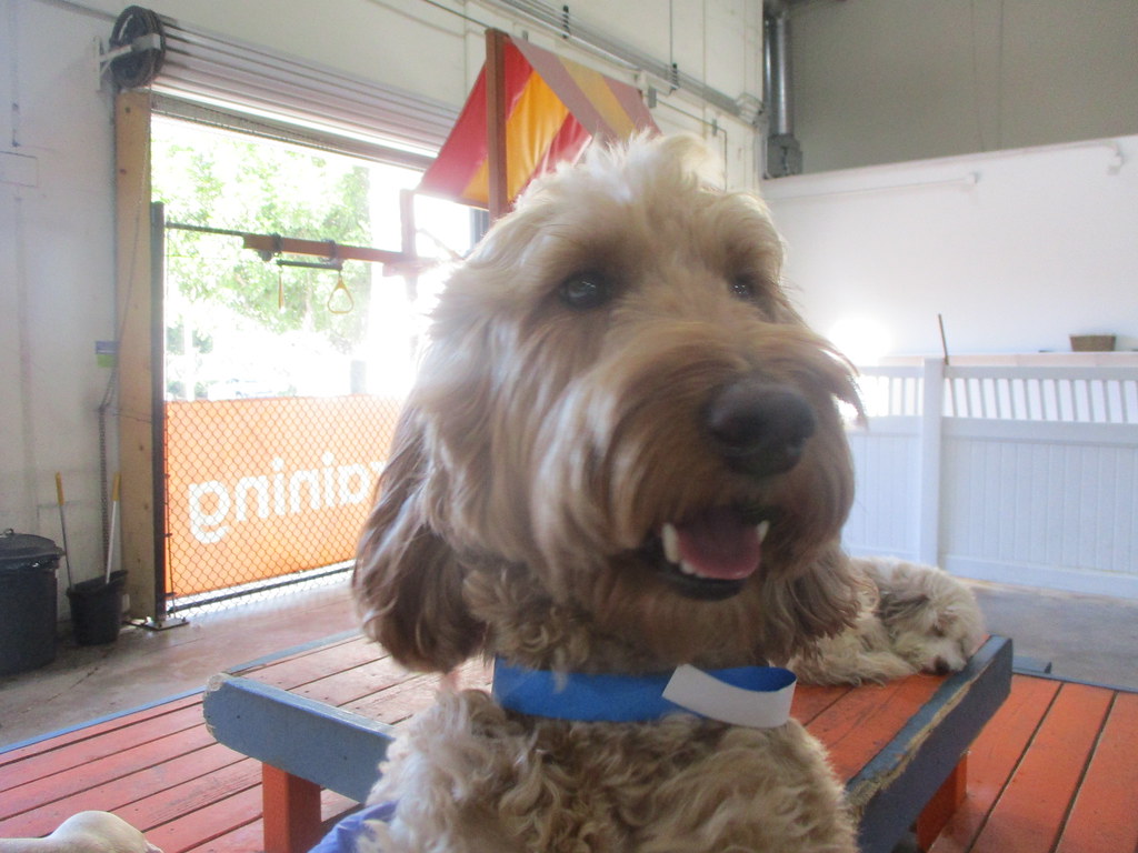 273 Dr. Boyd's Irvine Flickr