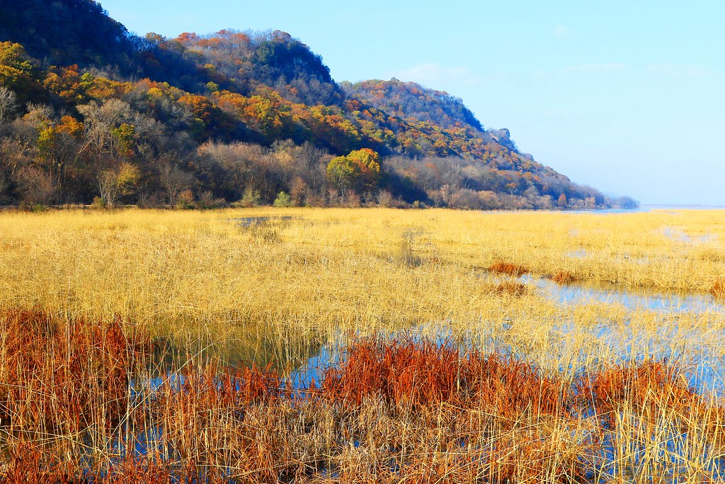 Mississippi River bluffs at Reno Bottoms MN 854A5910 Flickr