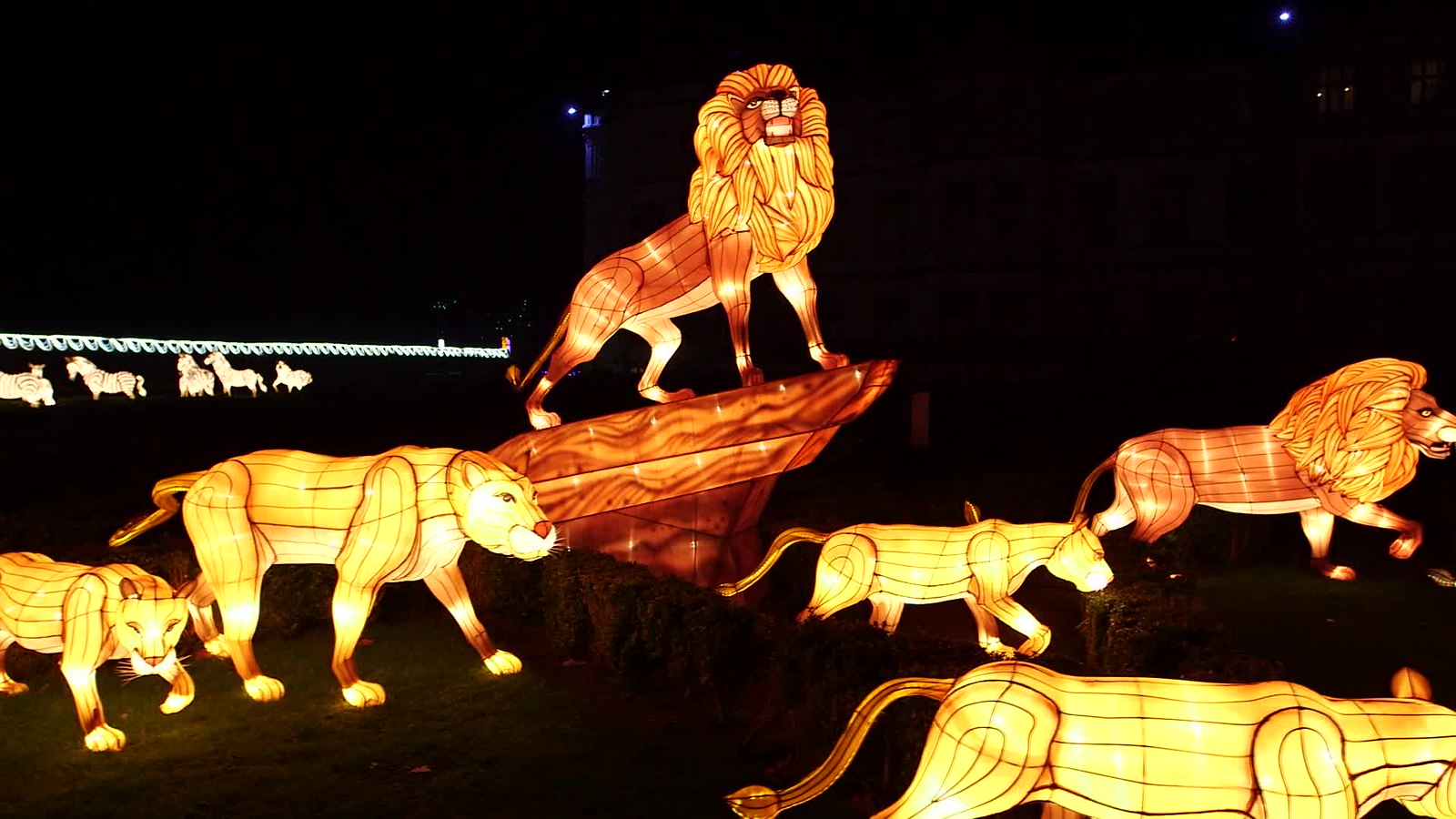 Wild Lights open now at Dublin Zoo Flickr