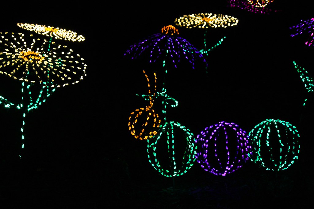 IMG_4082a Green Bay Botanical Garden, Garden of Lights 201… Beth