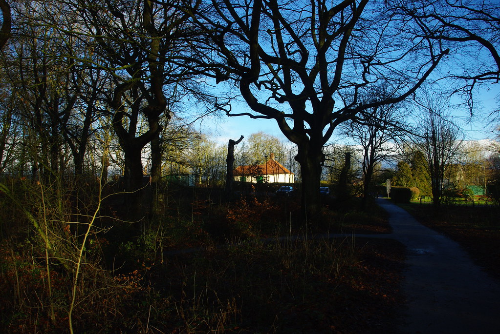 wingate park. LZZ 671 Flickr