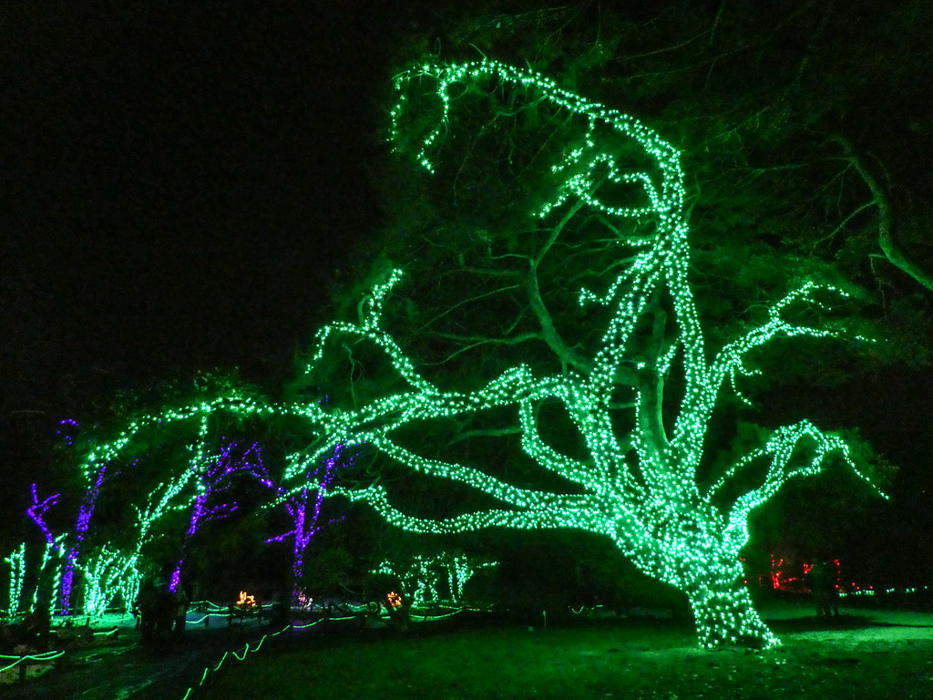 Tree with Lights at Lights Before Christmas at the Toledo … Flickr