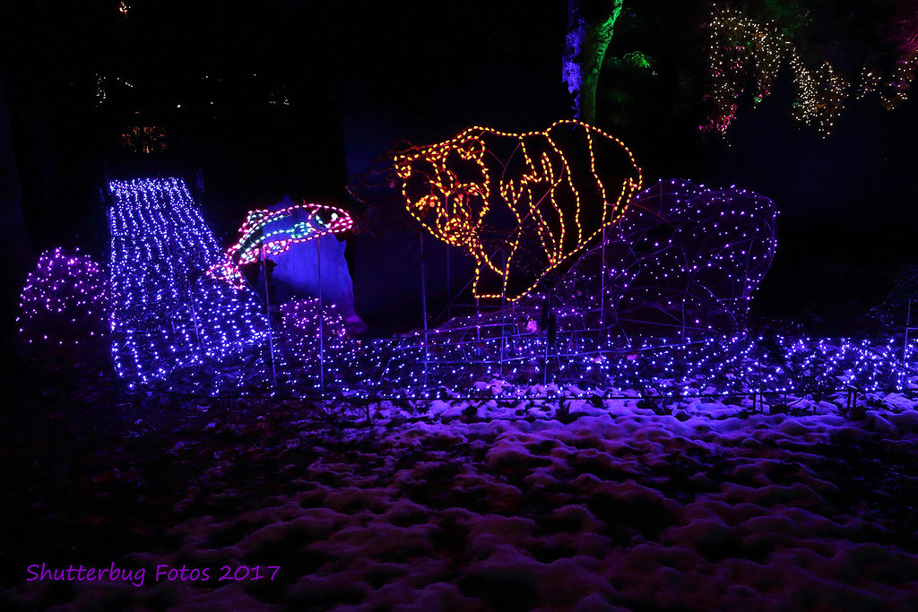 Wild Lights Woodland Park Zoo, Seattle Sean O'Neill Flickr