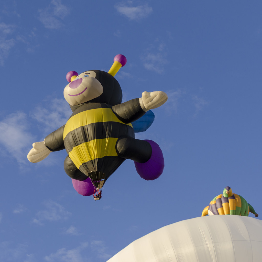 Bee Hot Air Balloon rschnaible Flickr