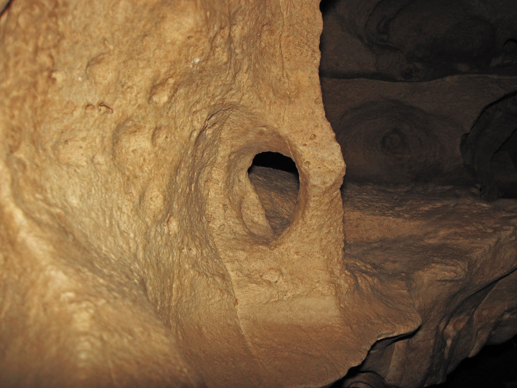 Solution window in dolostone (Prairie du Chien Group, Ordovician