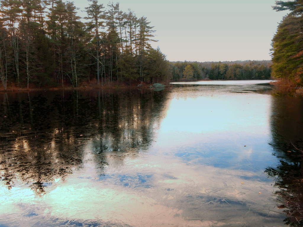 touch of frost on Freeses Pond Deerfield, NH Wendy Flickr