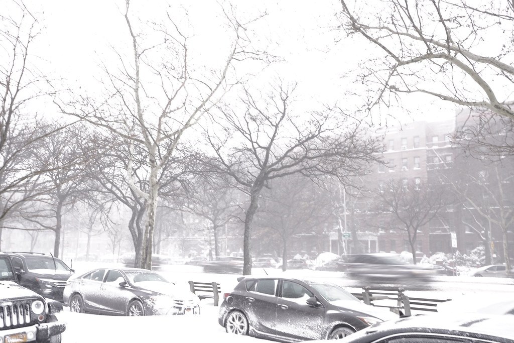 Snowstorm in NYC 2018 Z!SL Flickr