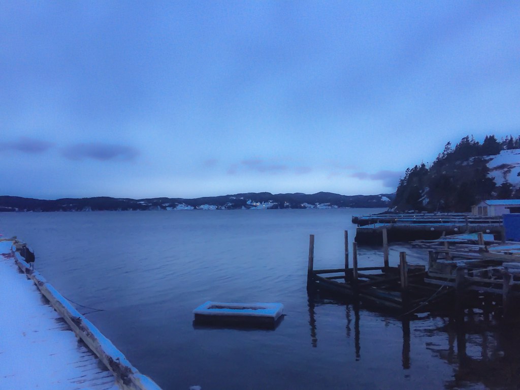 Burgoyne's Cove, Newfoundland Chris Donnelly Flickr