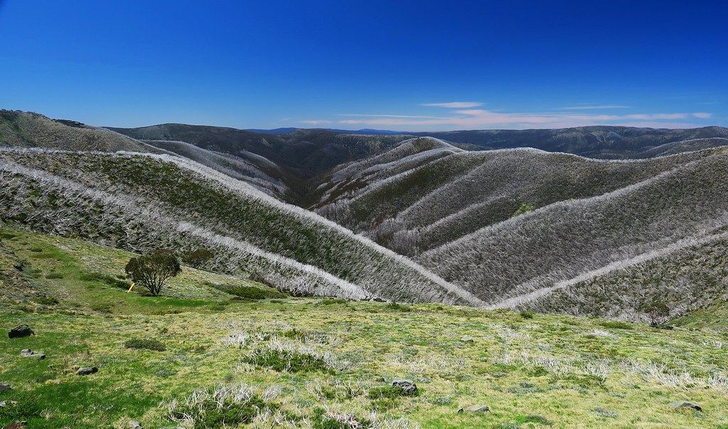 Mt Hotham area Great Alpine Road Dec 2017 17 hairy hills Graeme