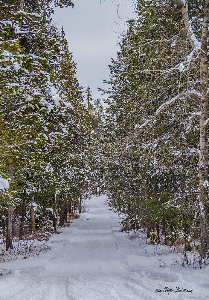 Ashton Idaho area Pattysphotos Flickr