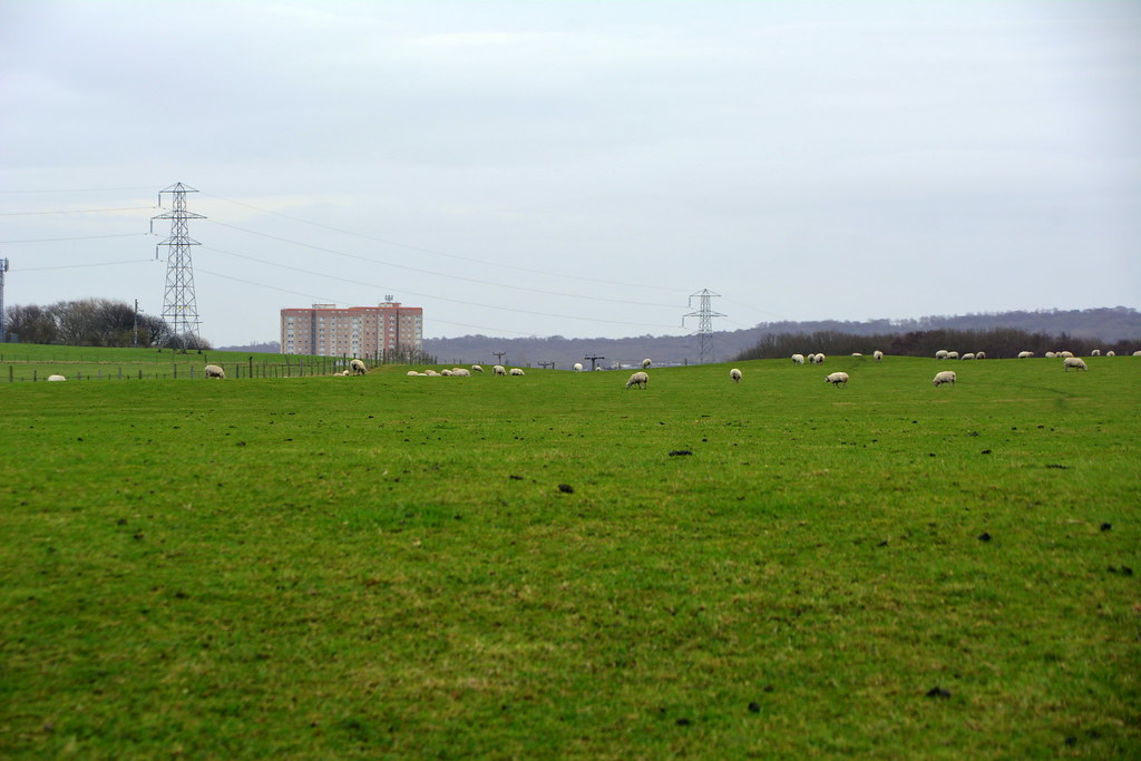 Farnley Wood Site of Farnley Wood long since been cleared Mark's
