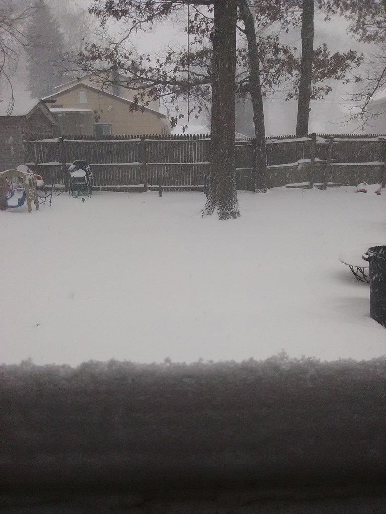 Snow on the back window Brookhaven Transportation Flickr