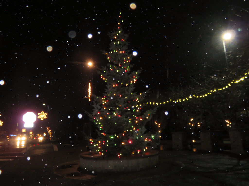 Christmas lights Downtown Comox Margo Ayotte Flickr
