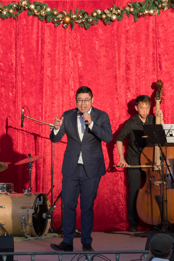 2017 Christmas in the Park Flickr