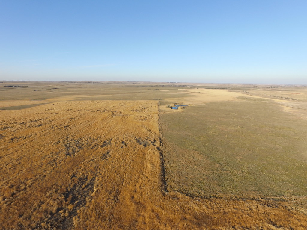 Listings & Auctions Peterson Land & Auction South Central