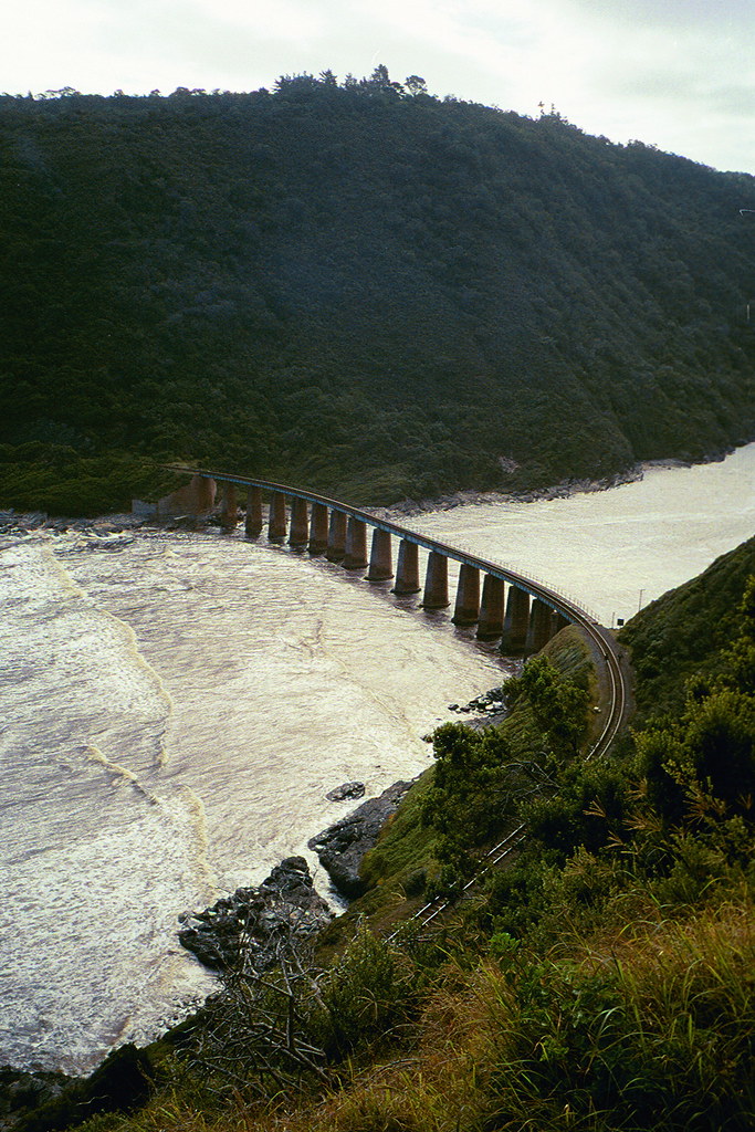 Stand by me (train bridge along the Garden Route) David Holmstrand
