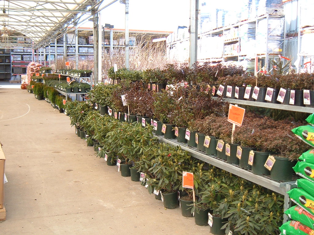 Woodbridge 3/14/06 Home Depot Profiles Flickr