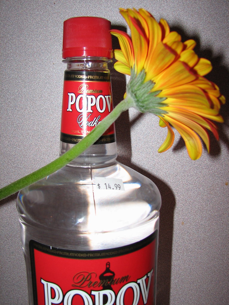 vodka_flower Poor valentines day eljimbo123 Flickr