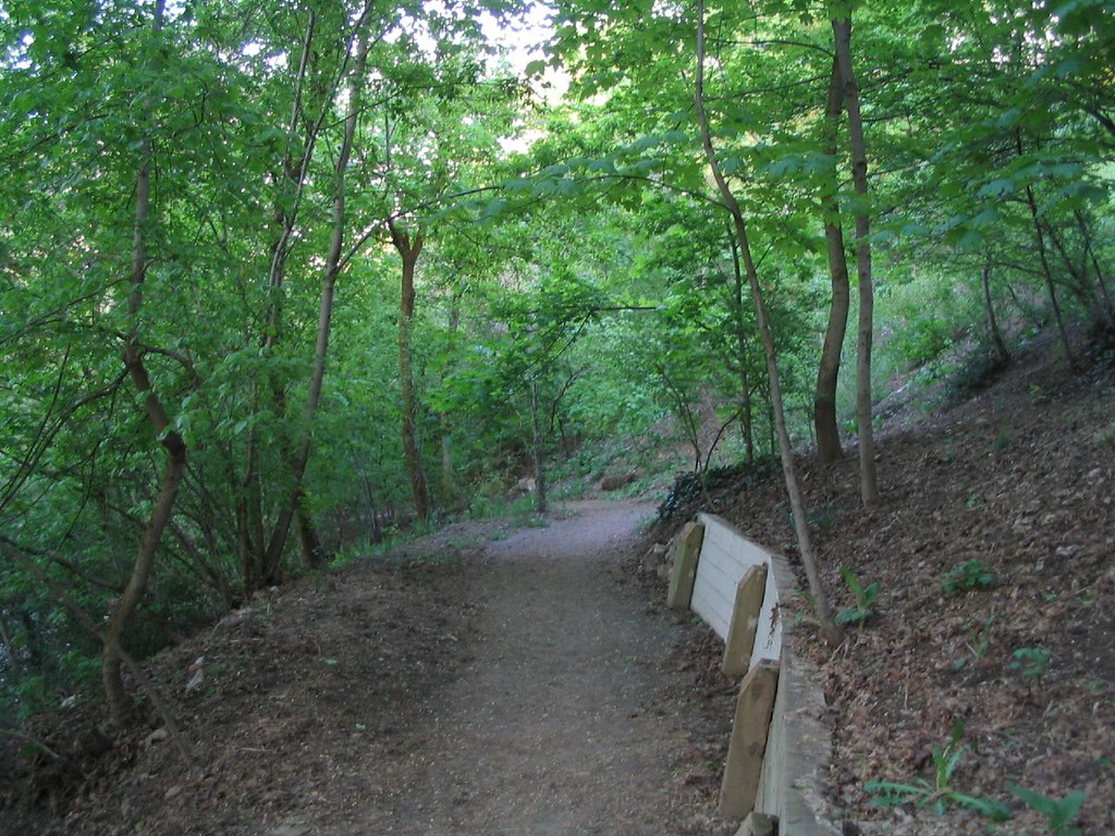 Wooded Area Near Yalecrest, Salt Lake City, Utah Salt Lake… Flickr