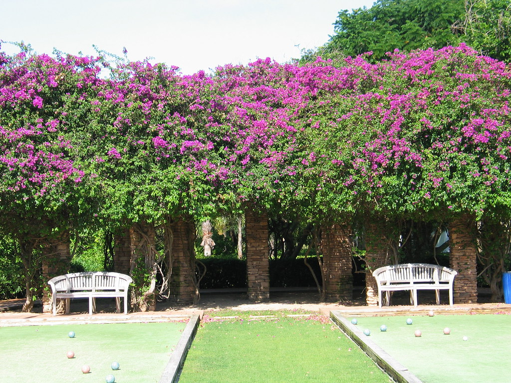 IMG_1876.JPG Bryan Dougherty Flickr