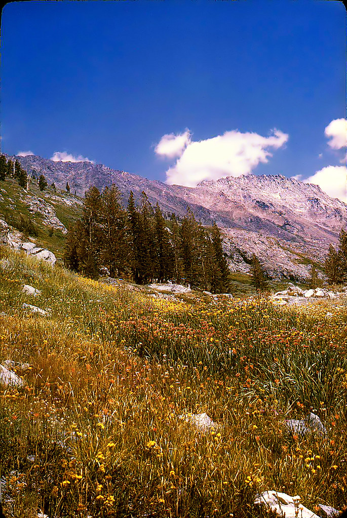 California's Southern Sierra Nevada Mountains This was tak… Flickr