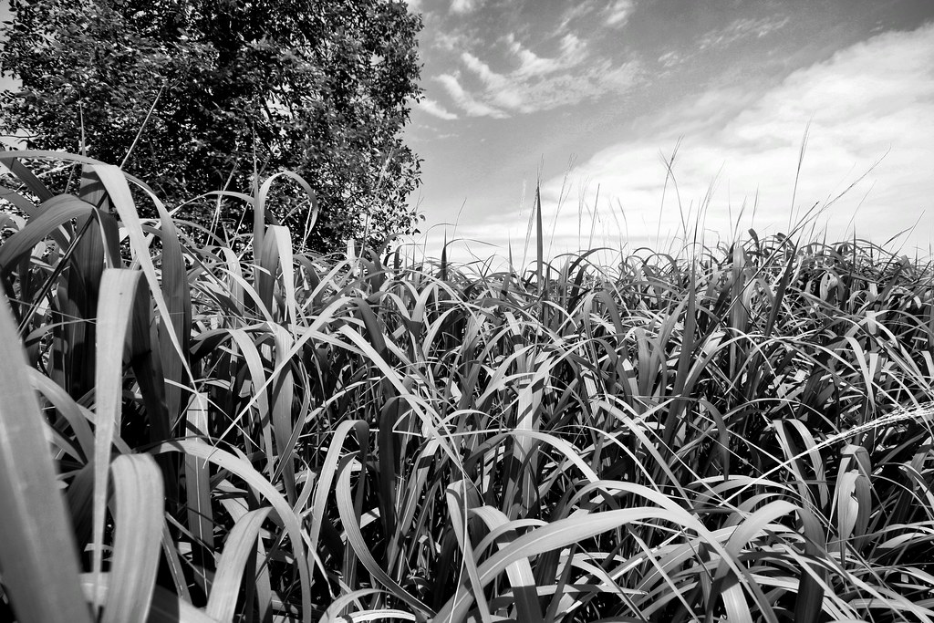 Elevation of 25 Des Outaouais Rd, ChuteàBlondeau, ON K0B 1B0, Canada