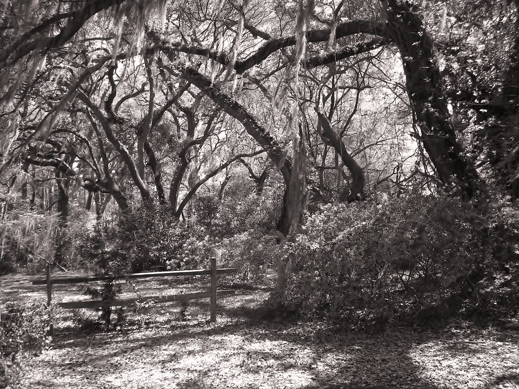 Wadmalaw Island, SC W. R. Nagy Flickr