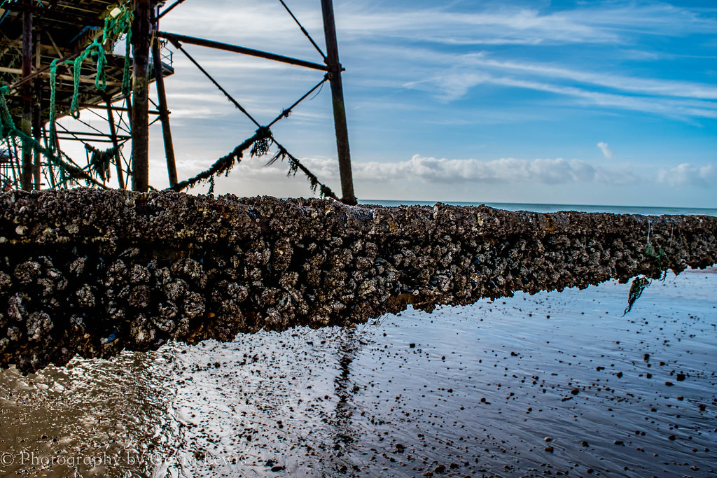 Eastbourne, England. Views from under the pier at low tide… Flickr