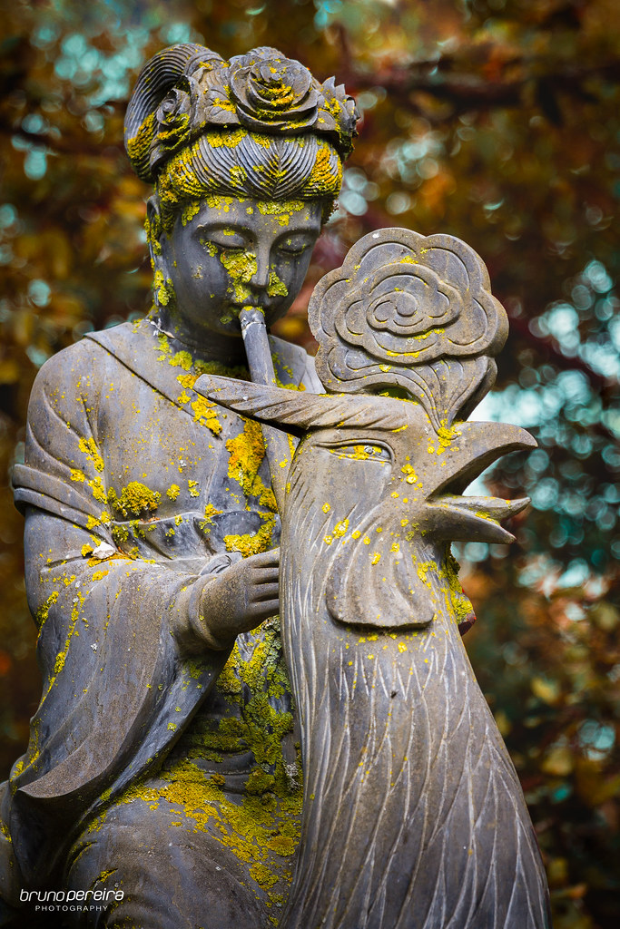Buddha Eden Statues III Follow me on Instagram Flickr