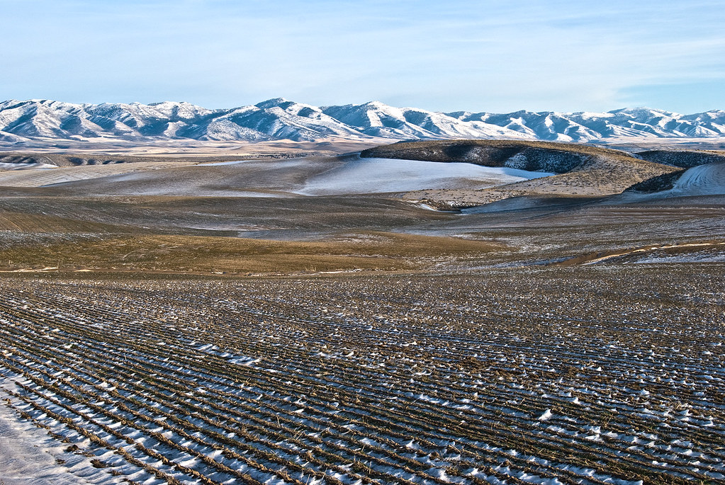 Rockland Valley, Idaho in the winter. Ralph Maughan Flickr